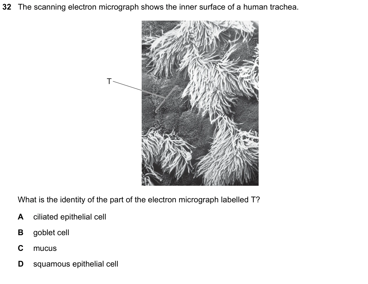 9700/12/F/M/25 question 32