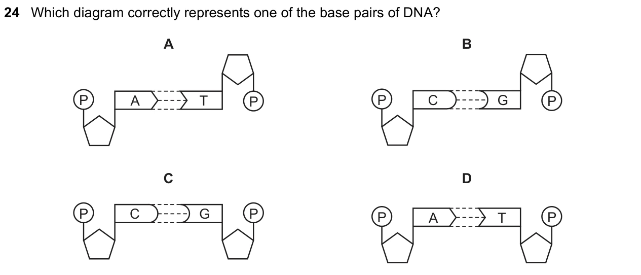 9700/12/F/M/25 question 24