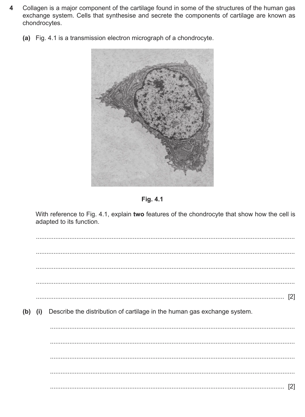 9700/22/M/J/20 question 4