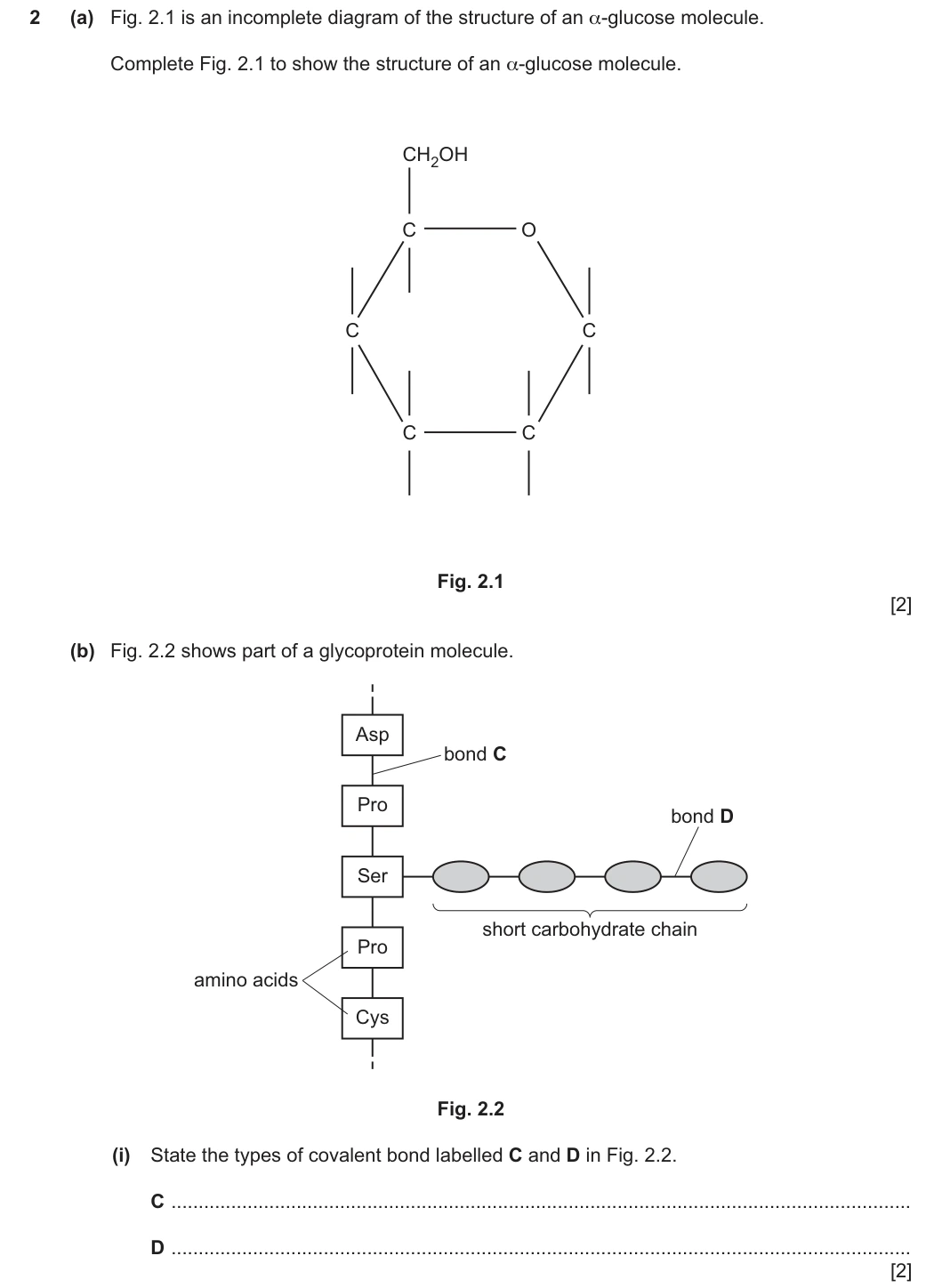 9700/22/F/M/25 question 2
