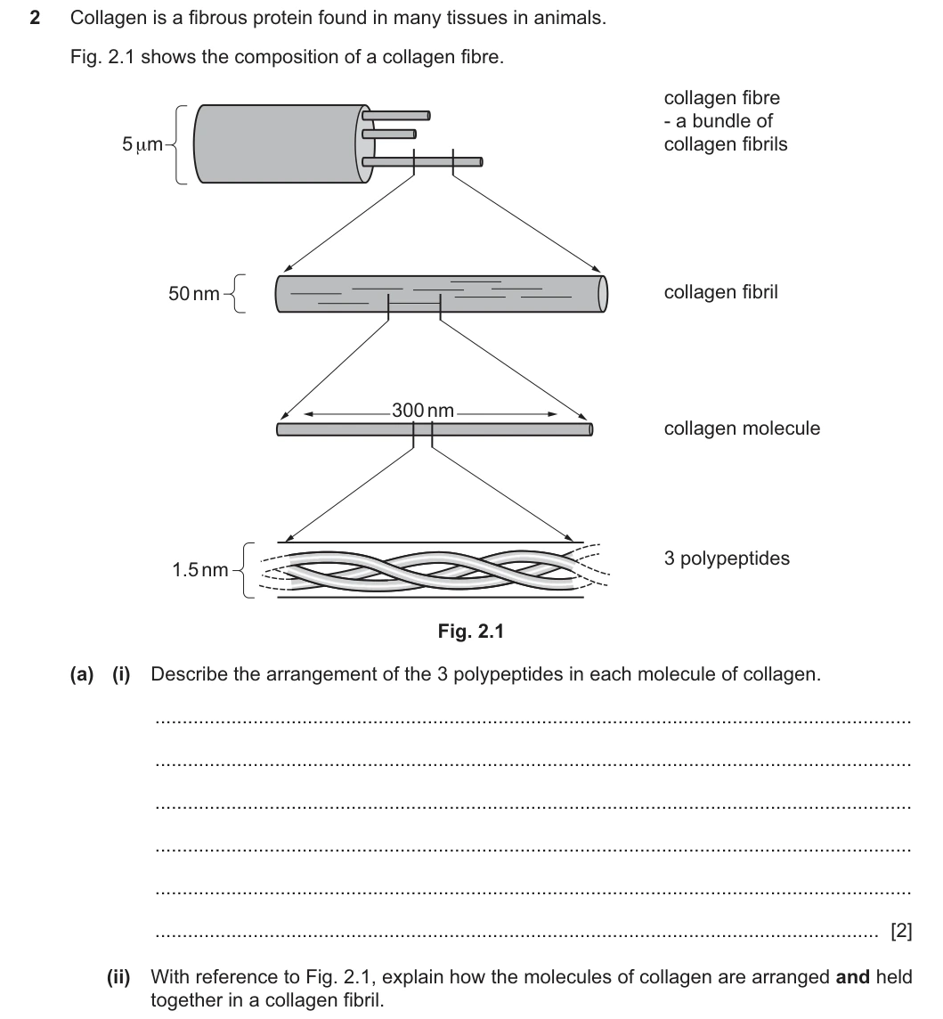 9700/23/O/N/25 question 2