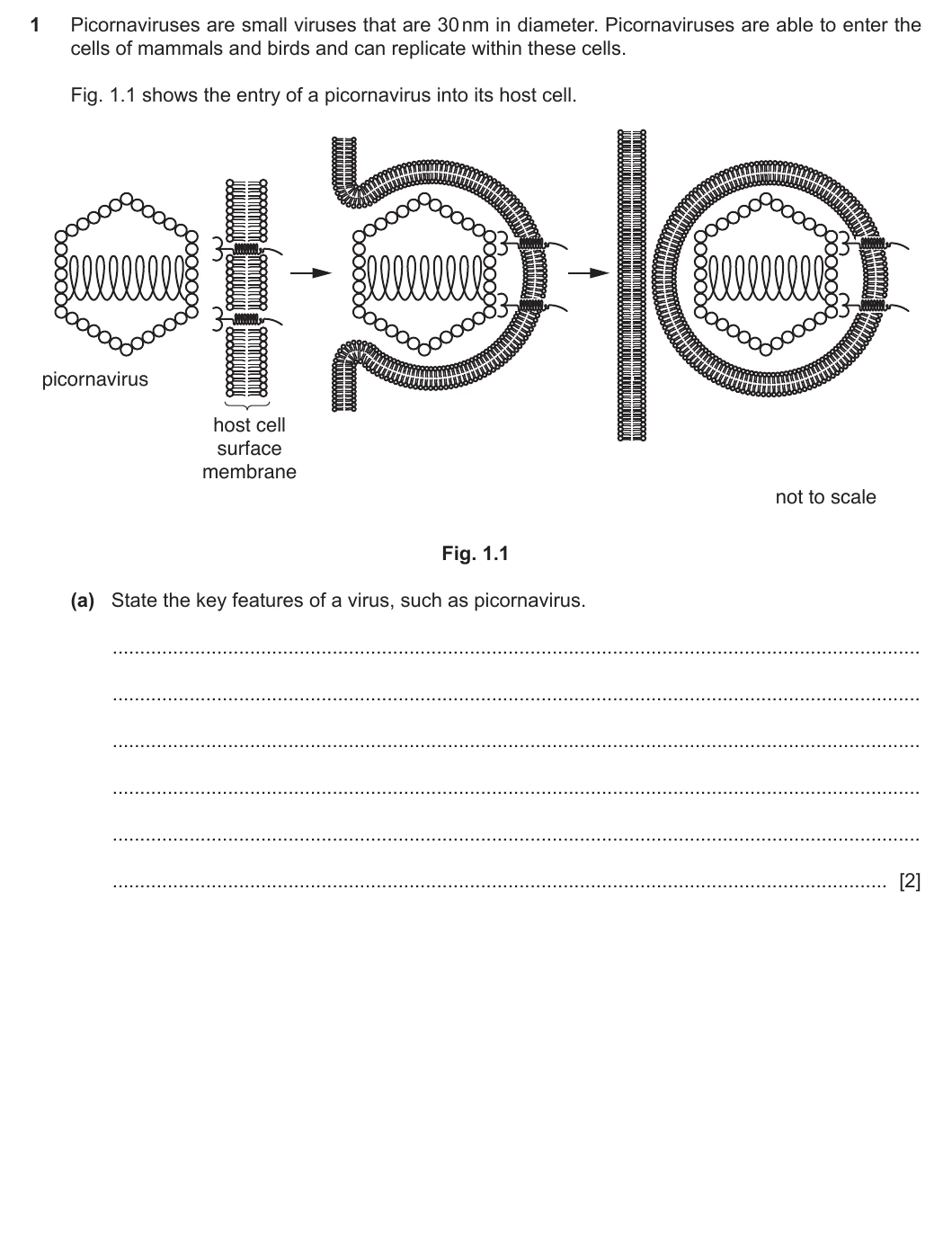 9700/22/M/J/20 question 1