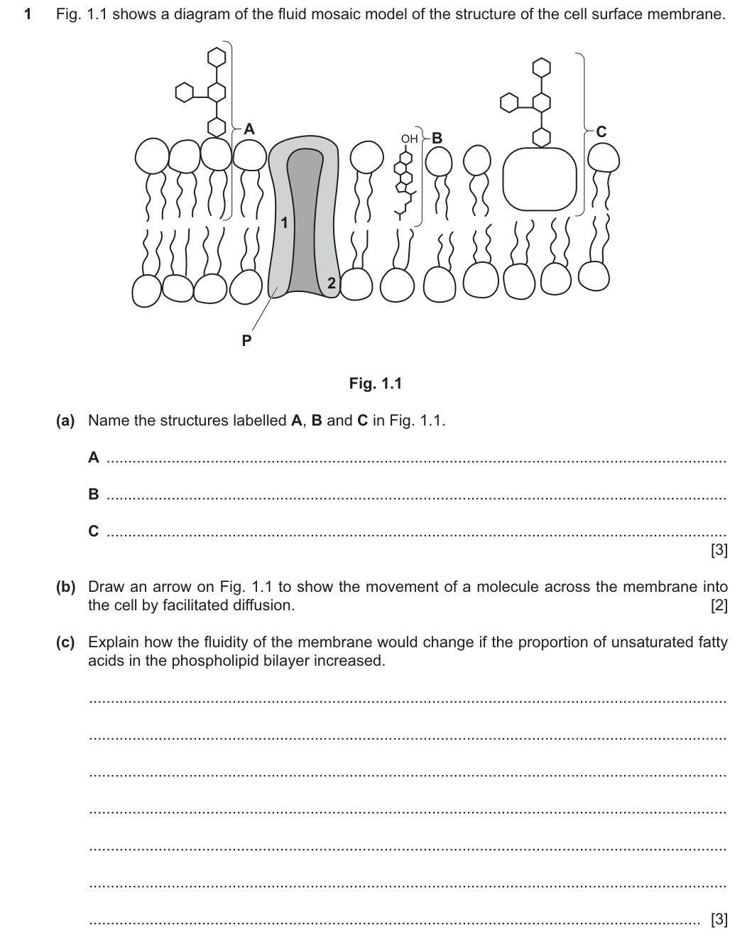 9700/21/O/N/25 question 1