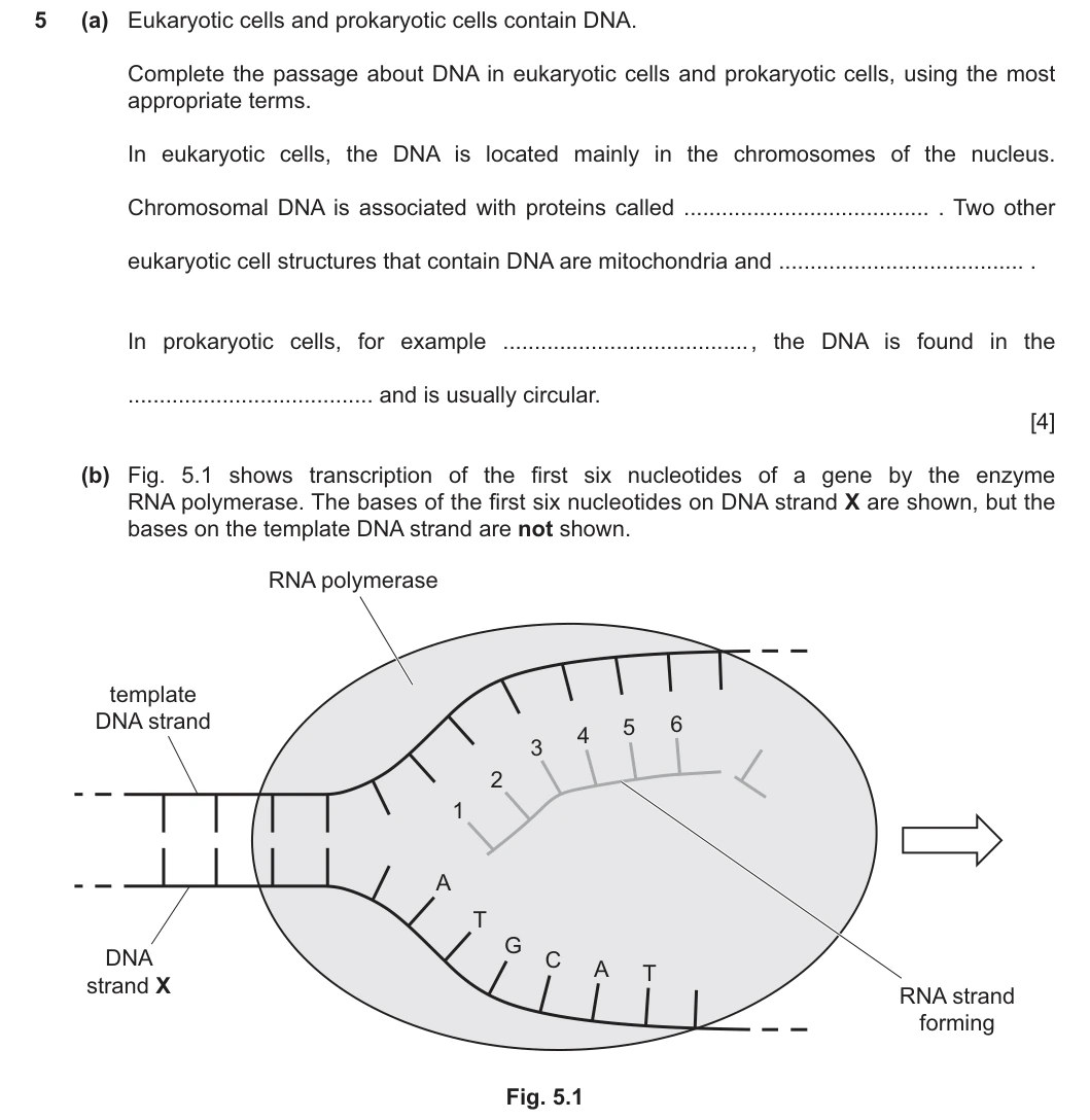 9700/22/F/M/25 question 5