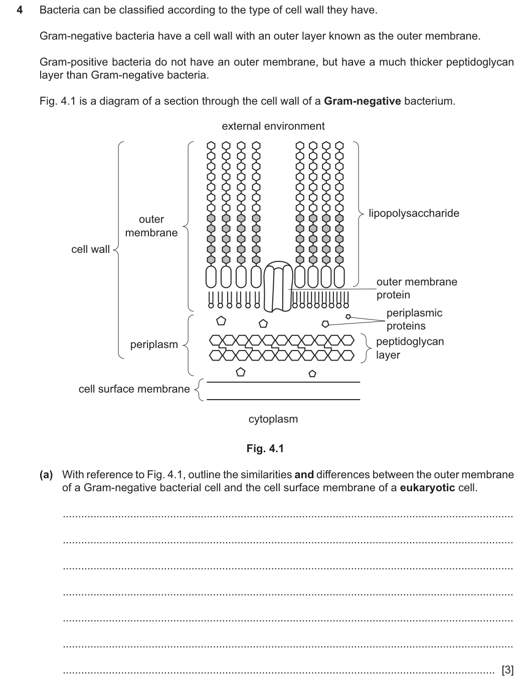 9700/22/O/N/25 question 4