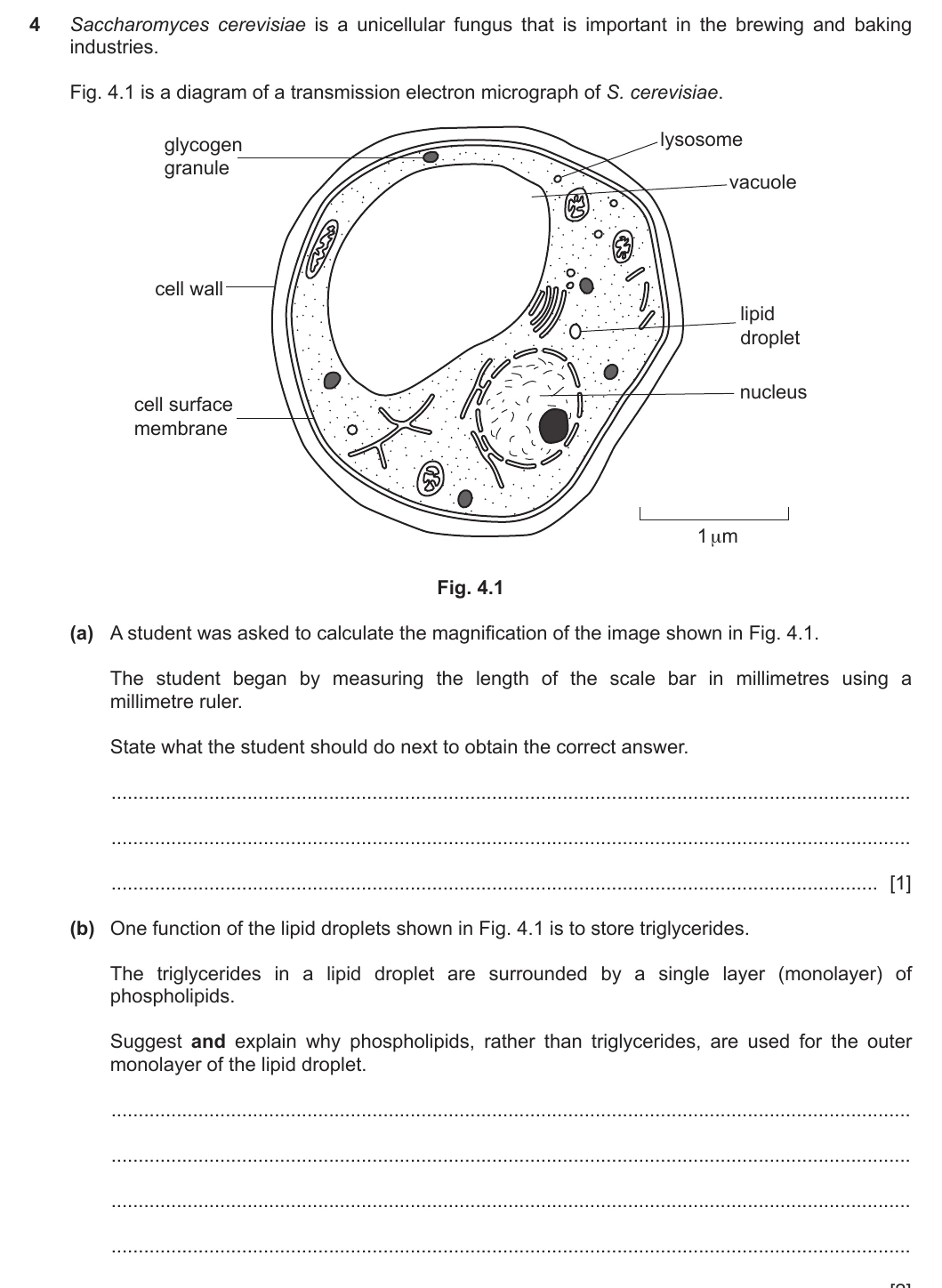 9700/23/M/J/20 question 4