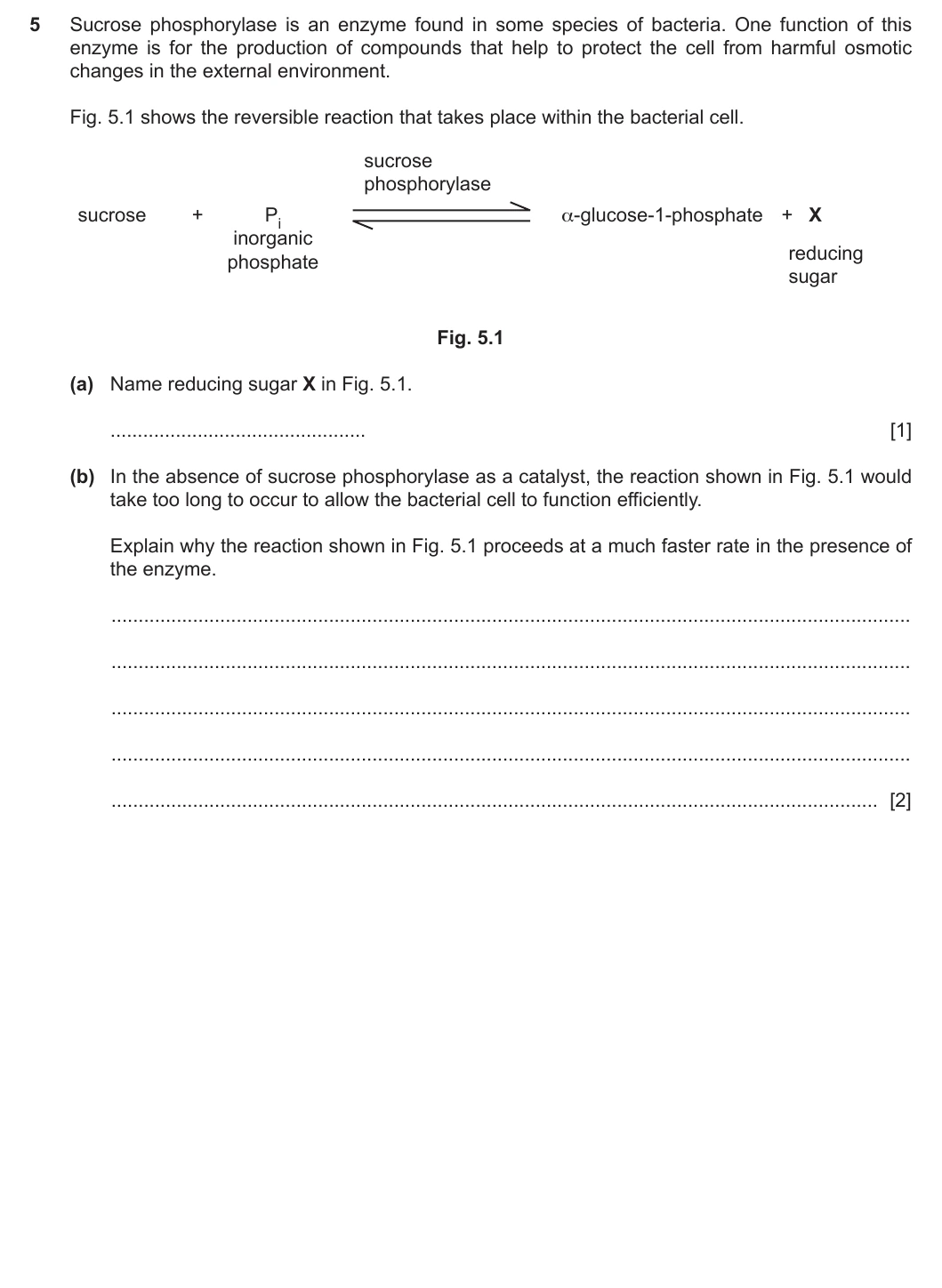 9700/22/O/N/20 question 5