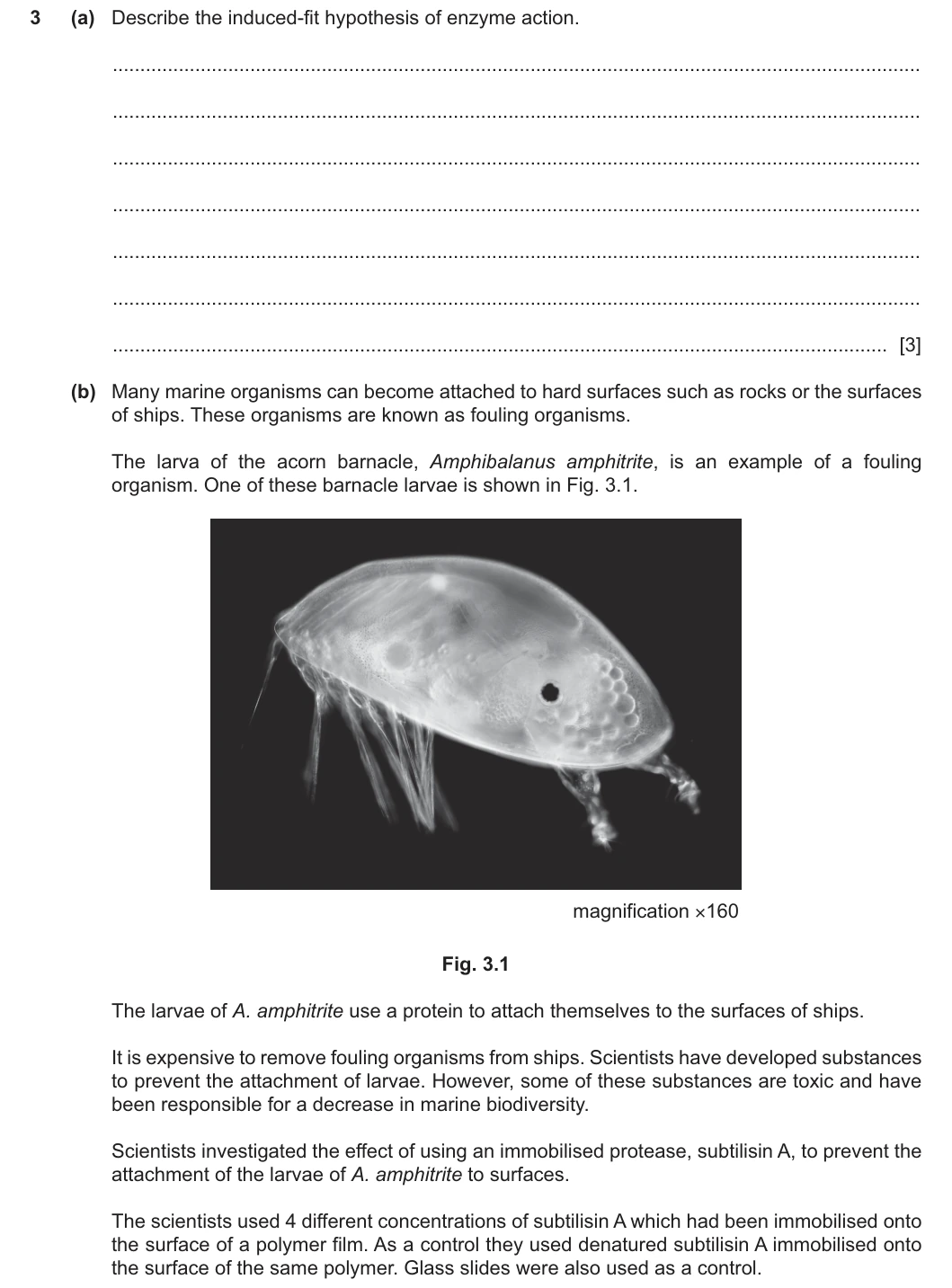 9700/23/O/N/25 question 3