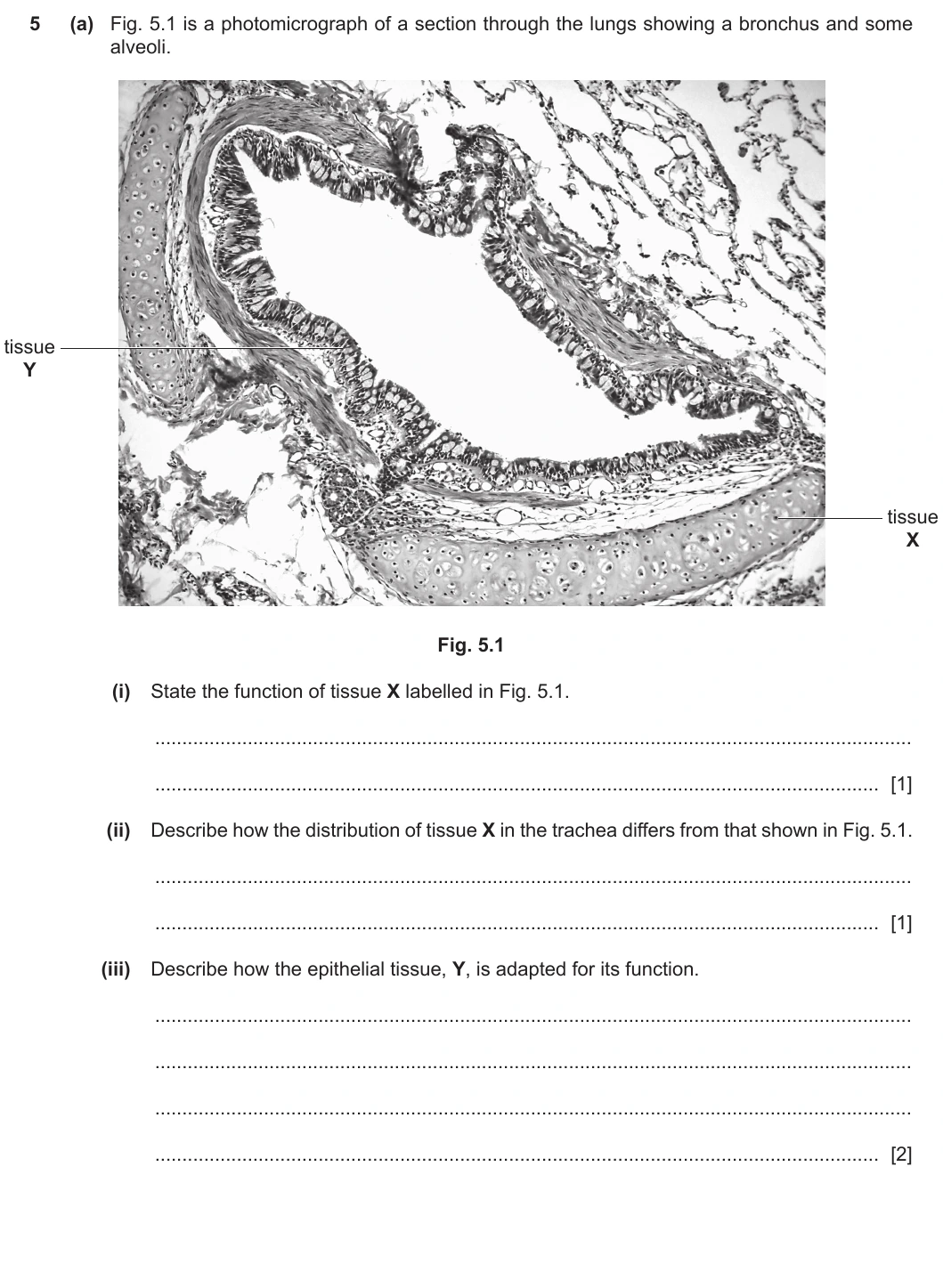9700/21/O/N/20 question 5