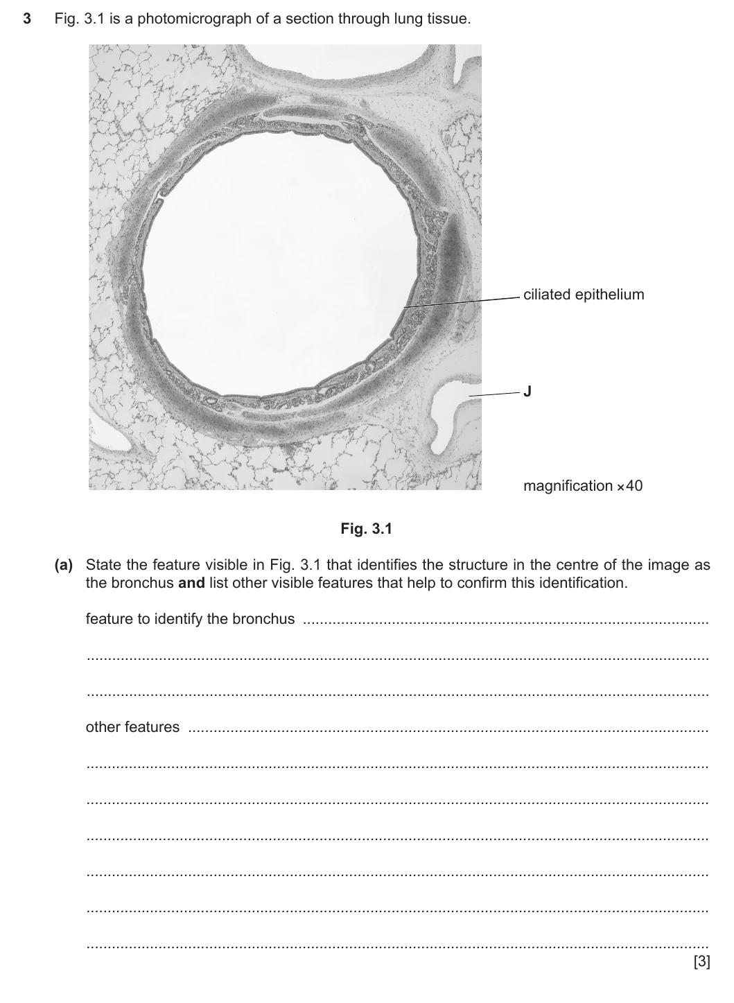 9700/22/O/N/20 question 3