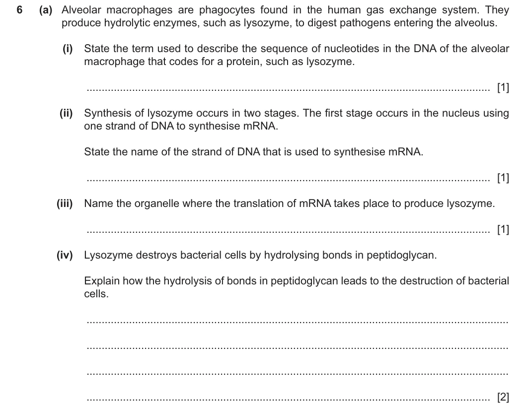 9700/21/O/N/25 question 6