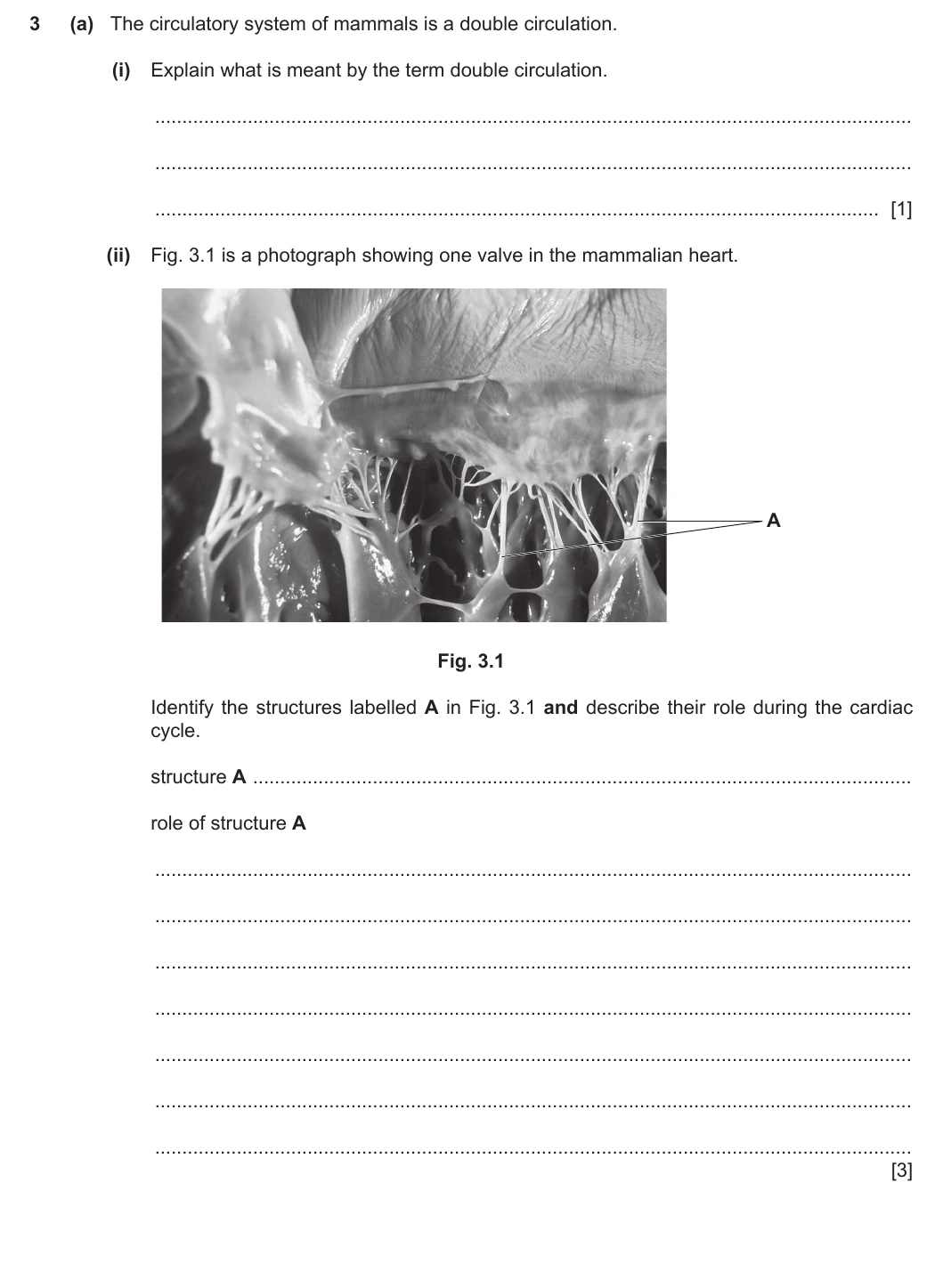 9700/21/O/N/20 question 3