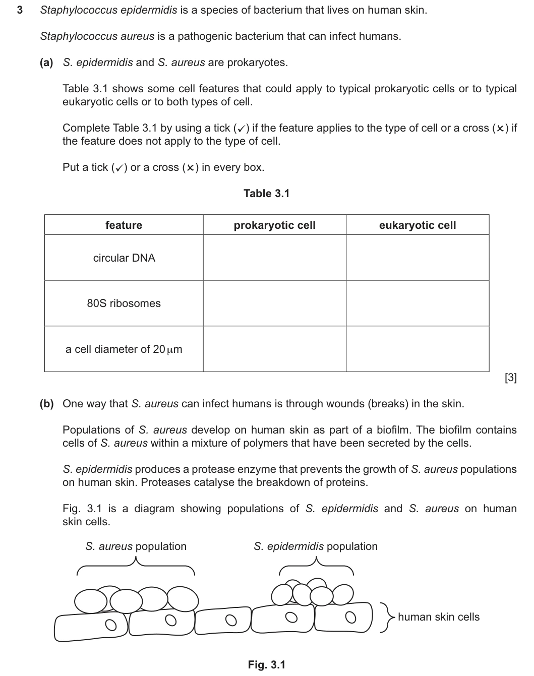 9700/23/M/J/25 question 3