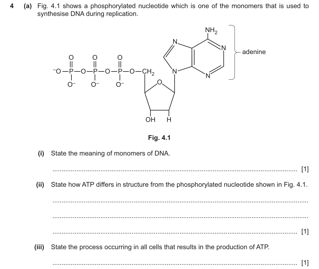 9700/23/O/N/25 question 4