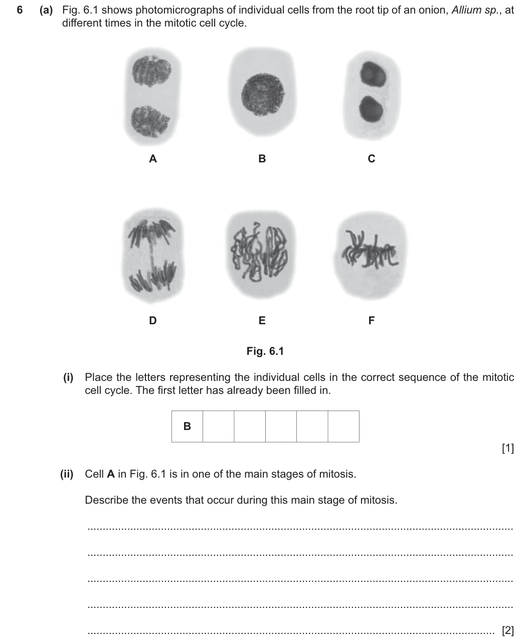 9700/22/F/M/25 question 6