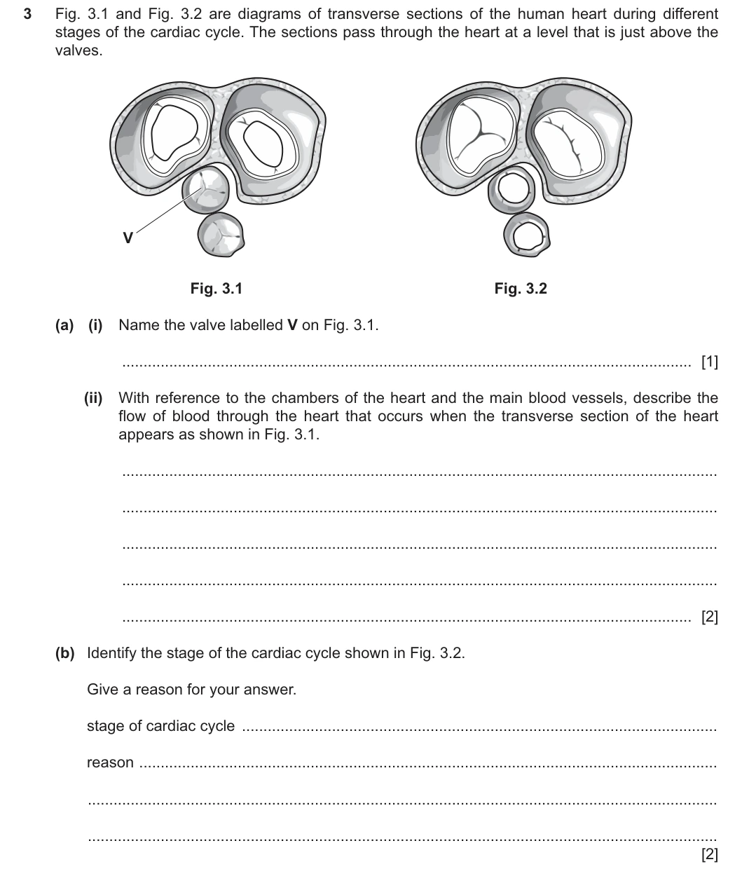 9700/22/F/M/25 question 3