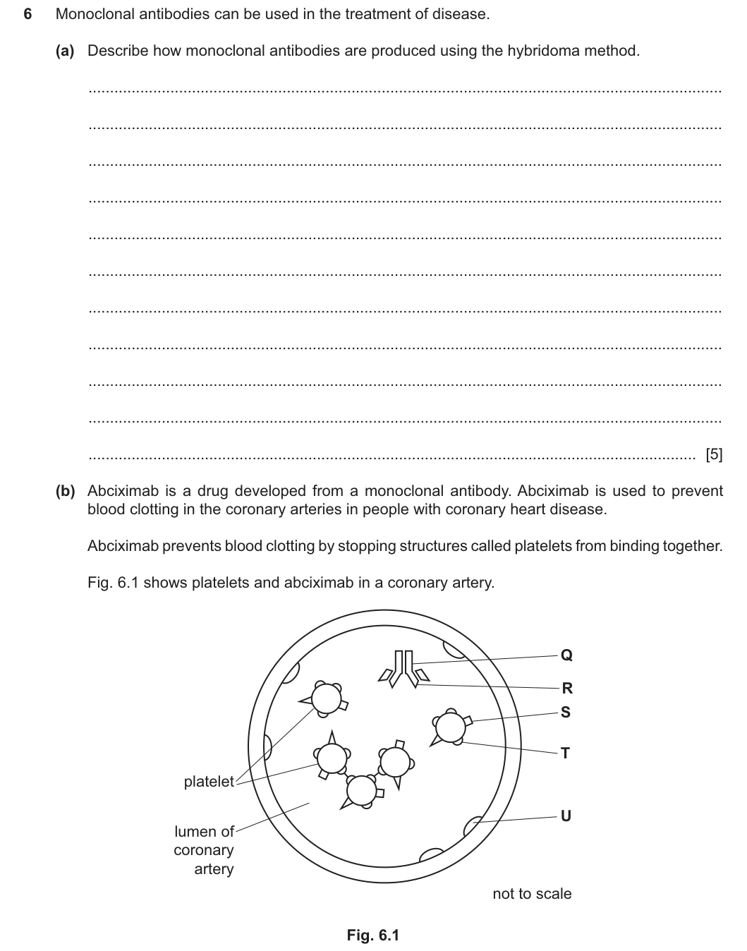 9700/23/M/J/25 question 6