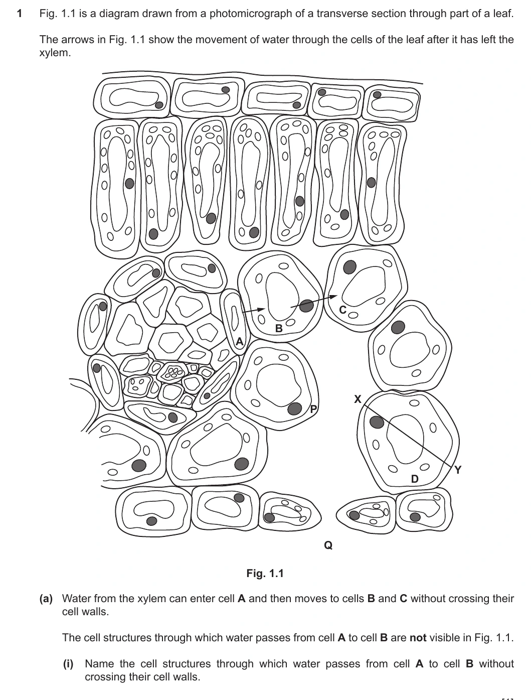 9700/22/O/N/20 question 1