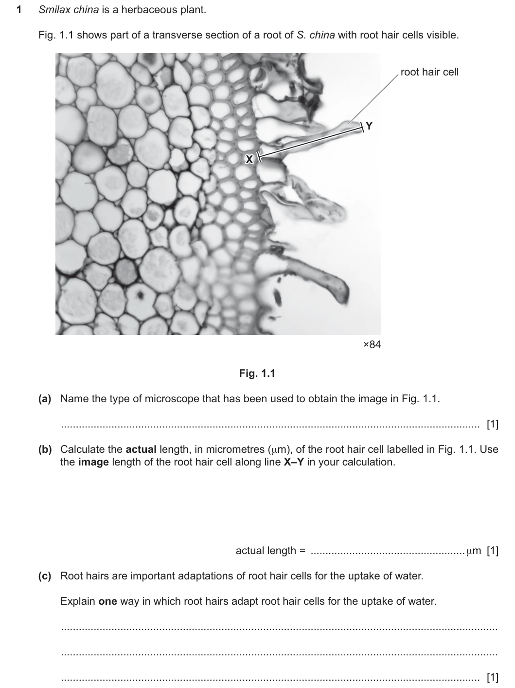 9700/22/F/M/25 question 1
