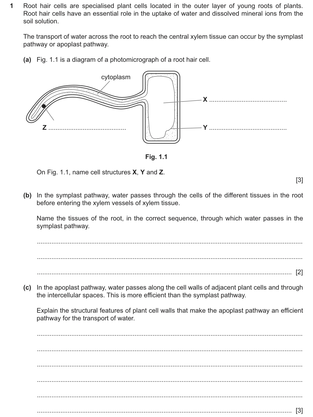 9700/22/M/J/25 question 1
