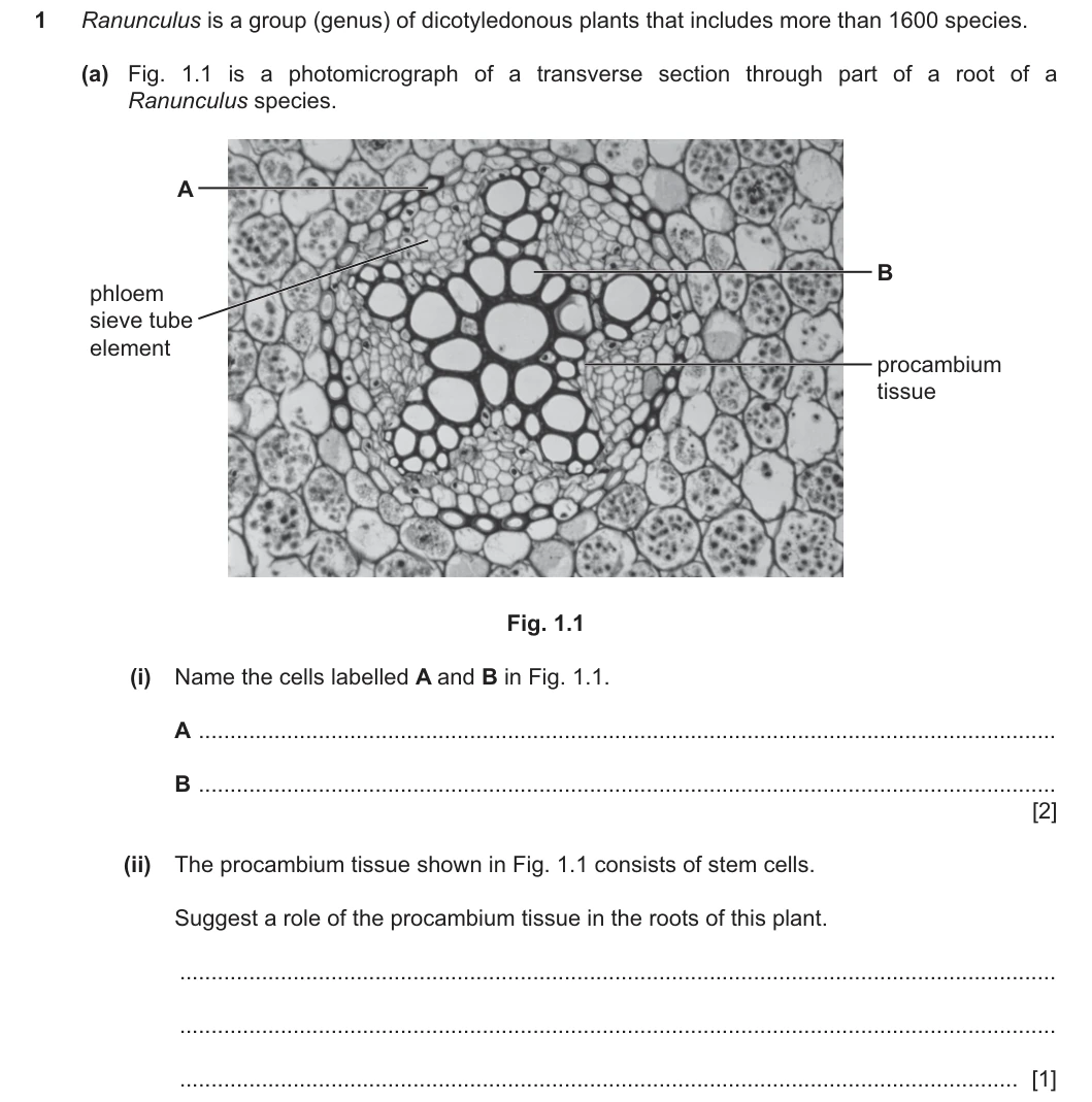 9700/23/M/J/25 question 1