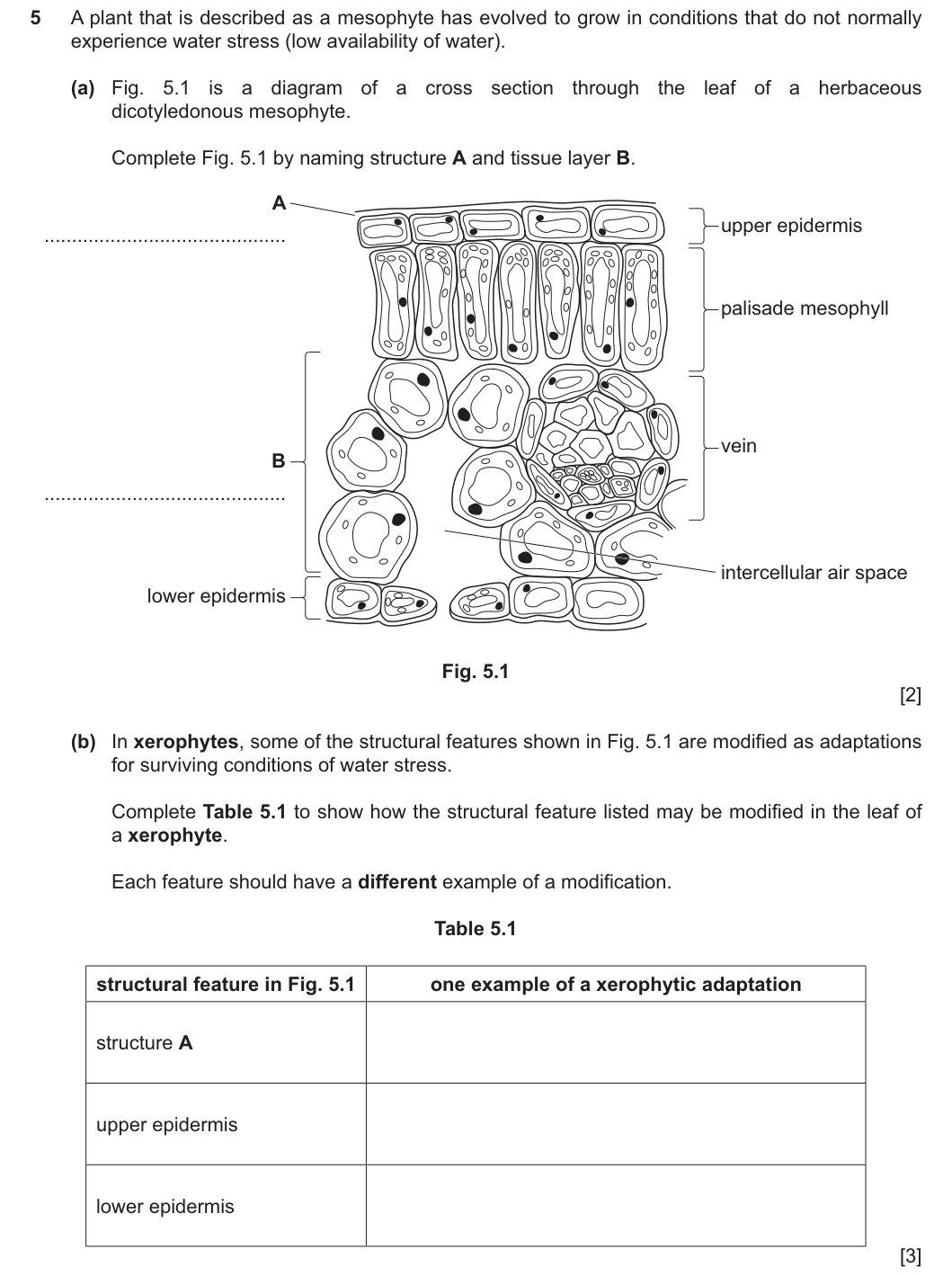 9700/22/O/N/25 question 5