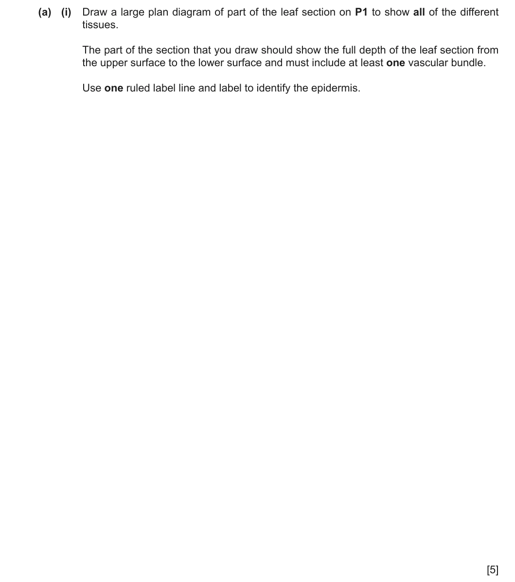 9700/33/F/M/24 question 2