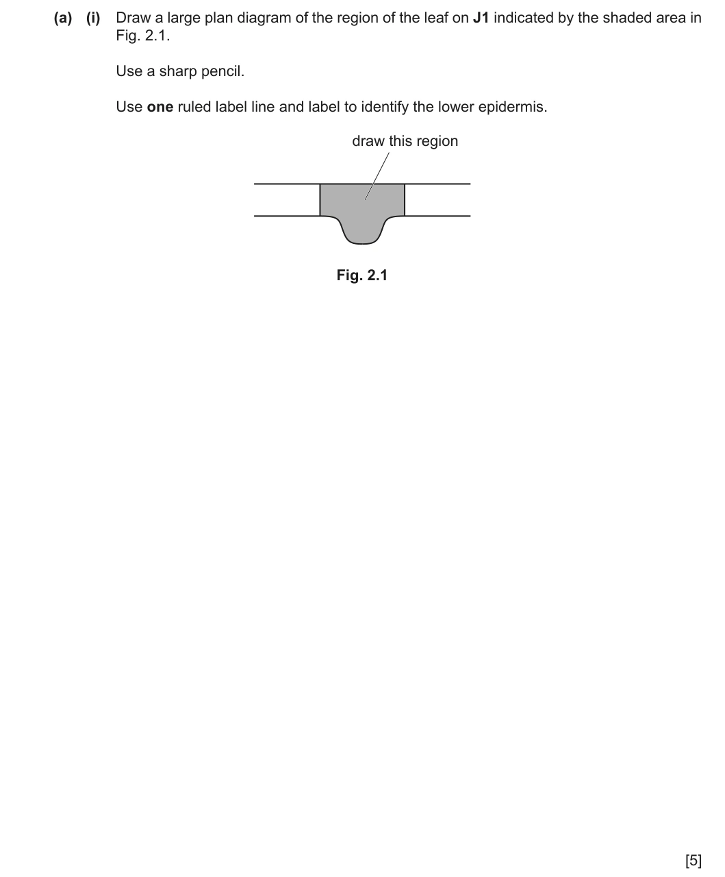 9700/31/O/N/24 question 2