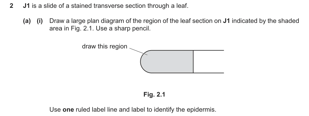 9700/31/M/J/25 question 2