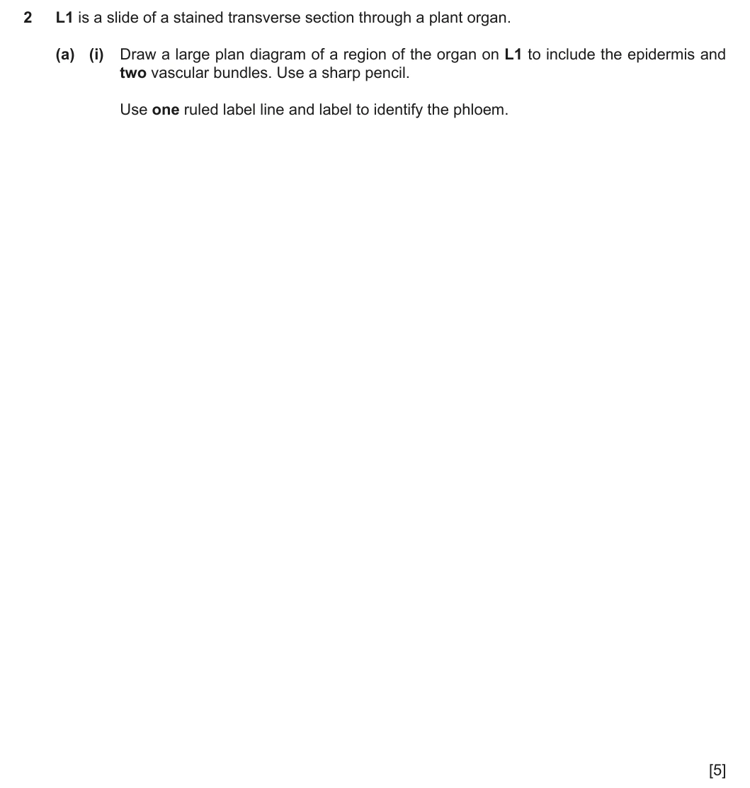 9700/33/M/J/25 question 2