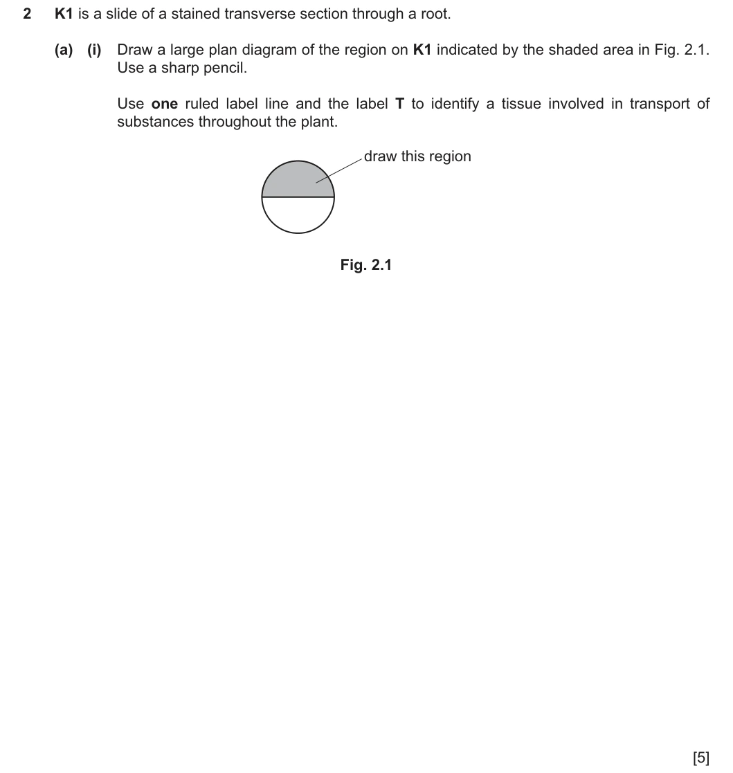 9700/33/O/N/25 question 2