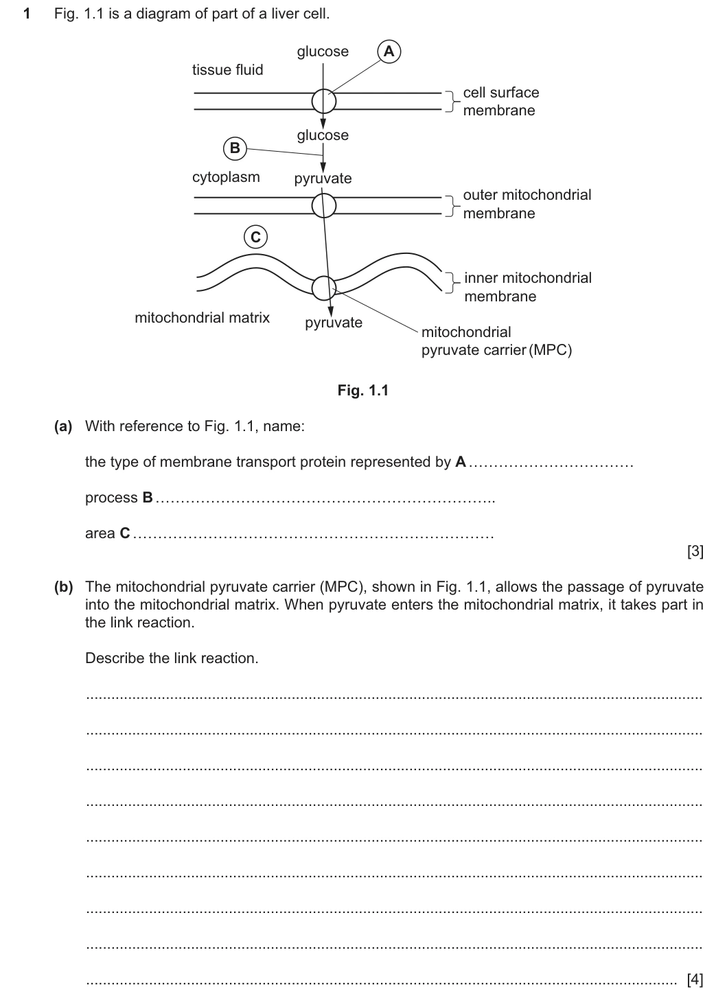 9700/43/M/J/25 question 1