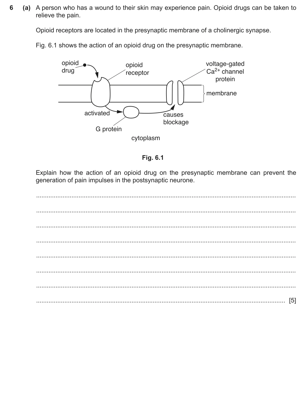 9700/42/O/N/20 question 6