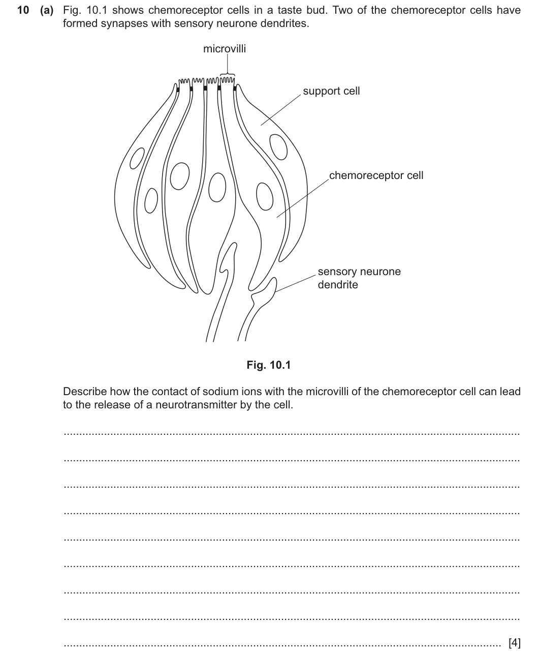 9700/42/F/M/25 question 10