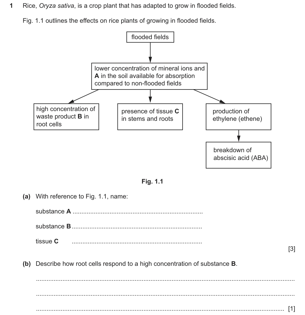 9700/42/O/N/25 question 1