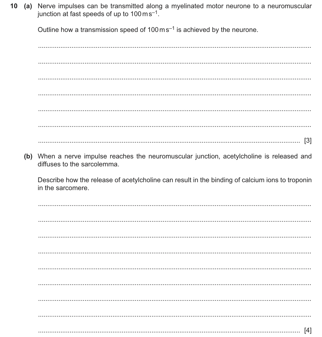 9700/42/O/N/25 question 10