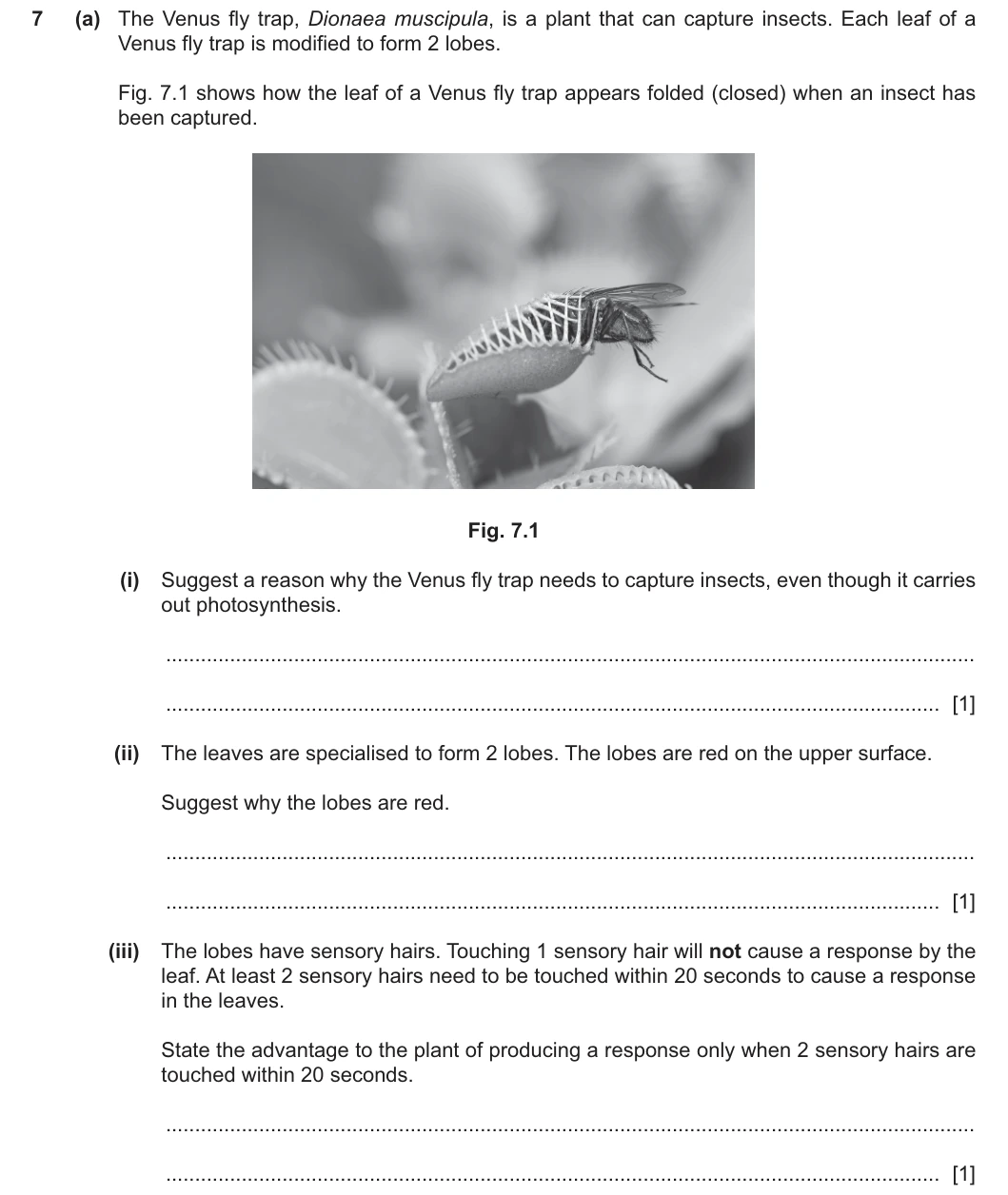 9700/42/O/N/25 question 7