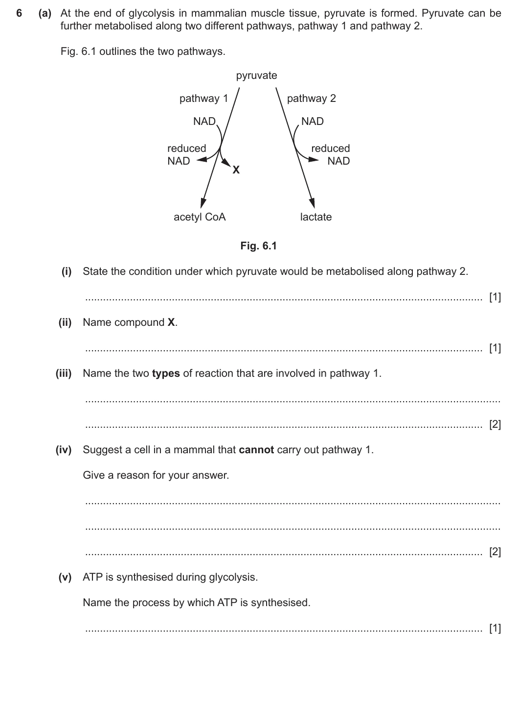 9700/41/M/J/20 question 6