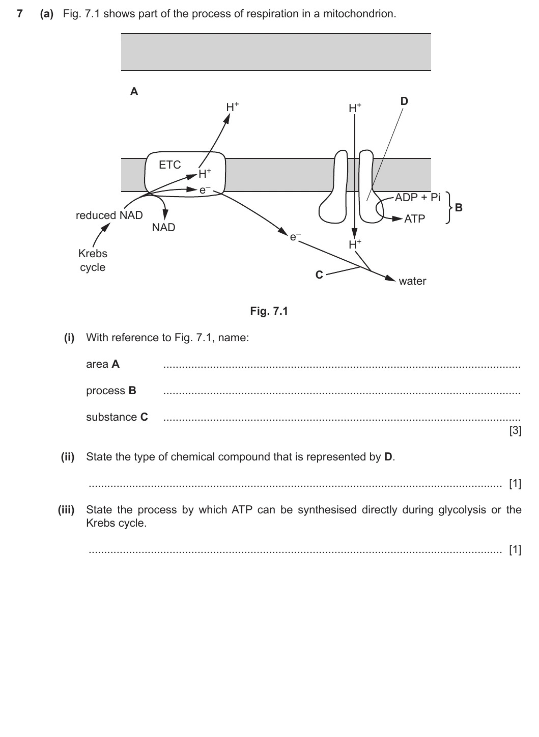 9700/43/M/J/20 question 7