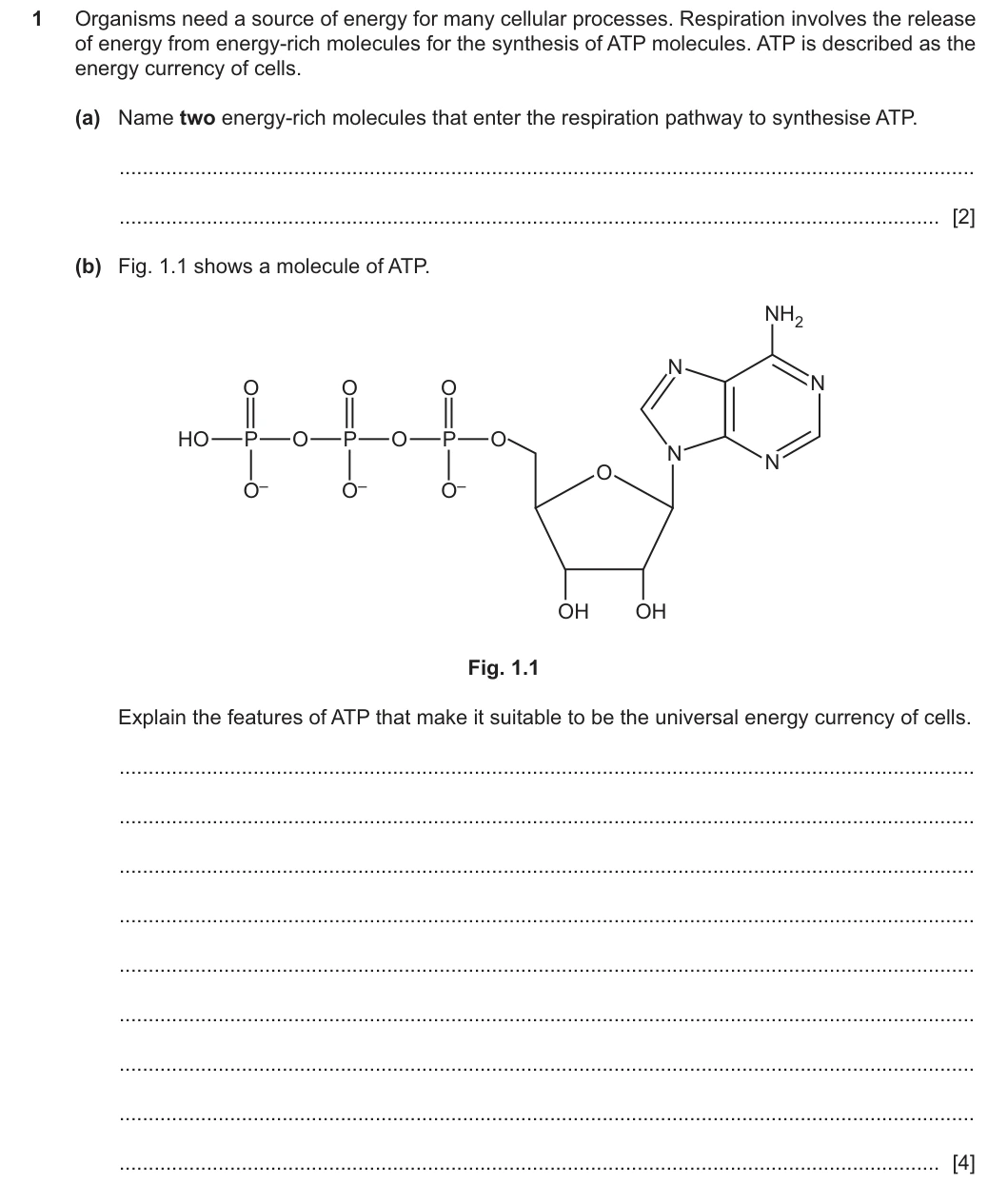 9700/41/M/J/25 question 1