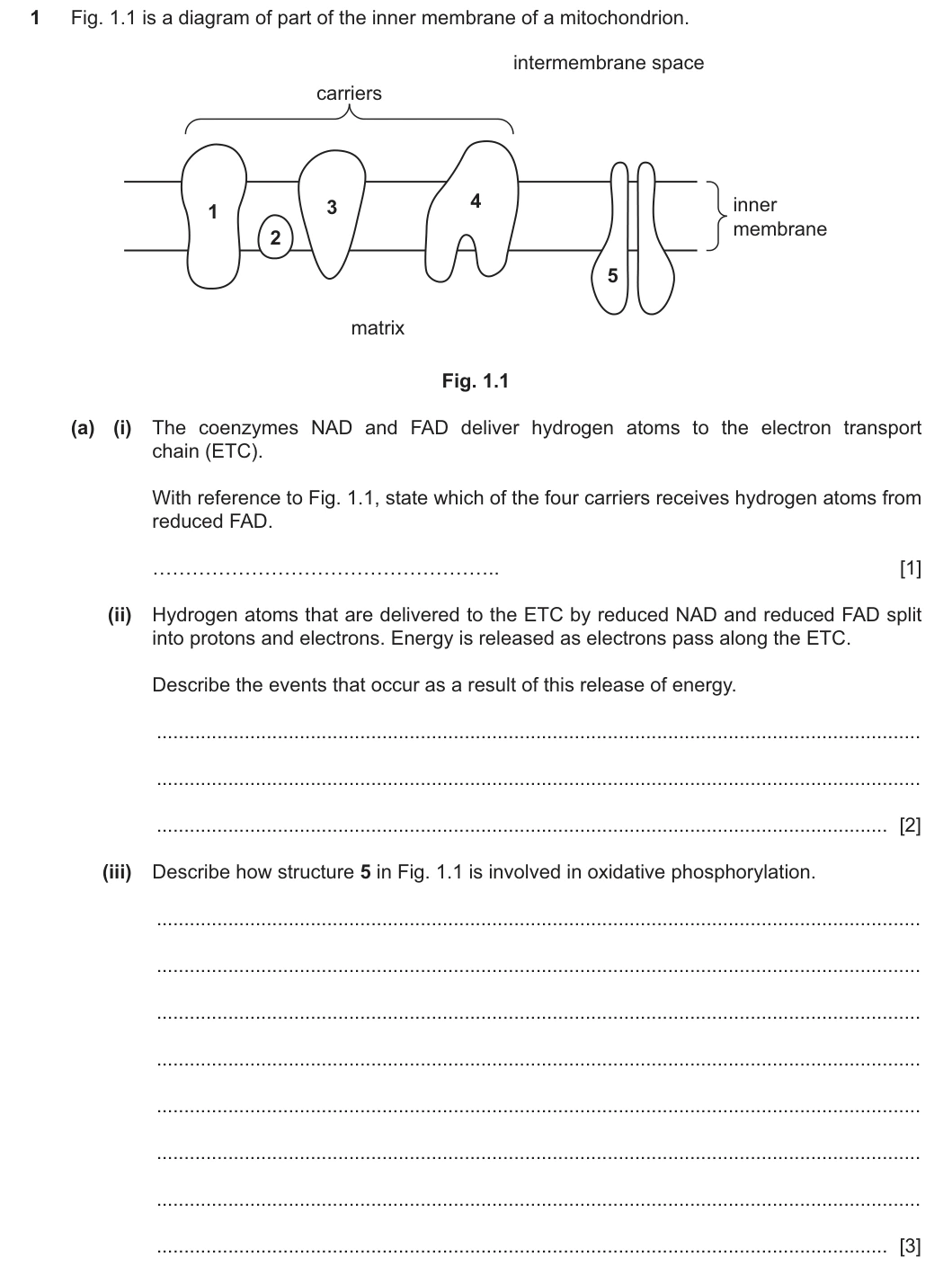 9700/42/M/J/25 question 1