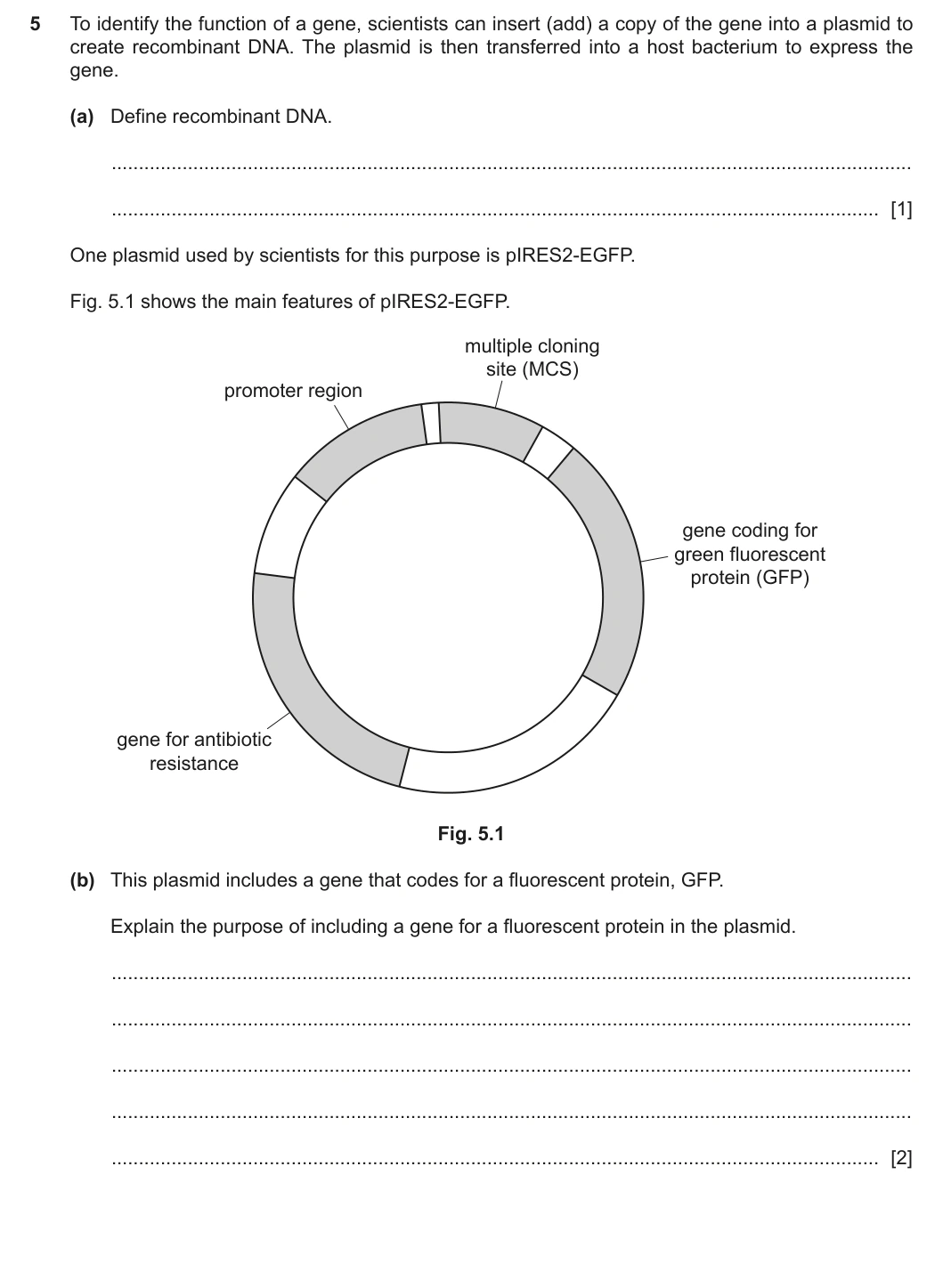 9700/42/F/M/20 question 5