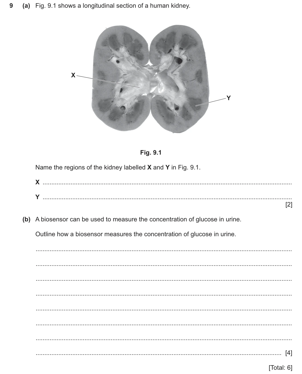 9700/41/O/N/25 question 9