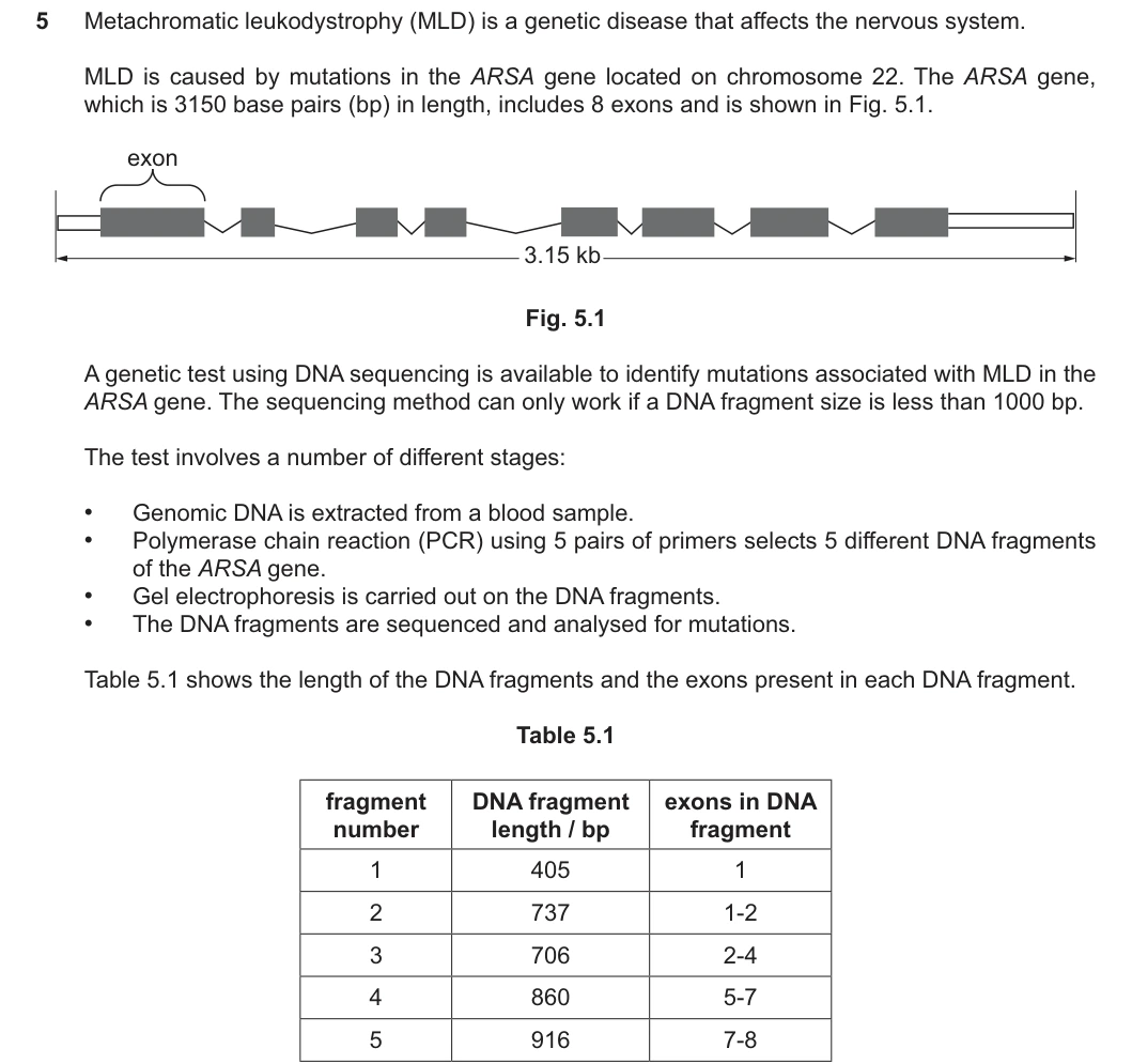 9700/42/O/N/25 question 5