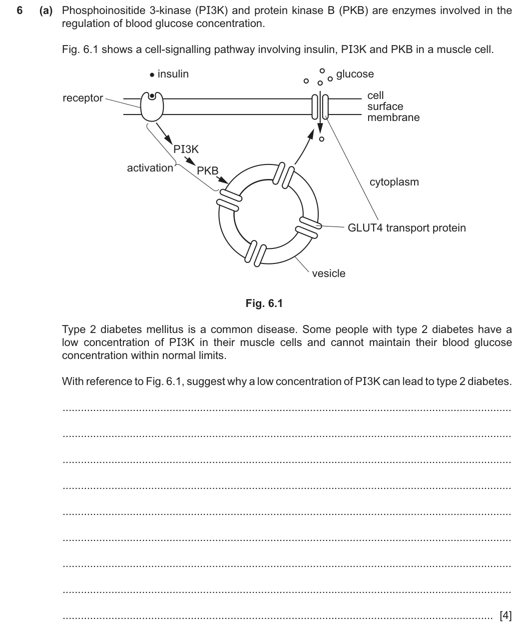 9700/42/O/N/25 question 6