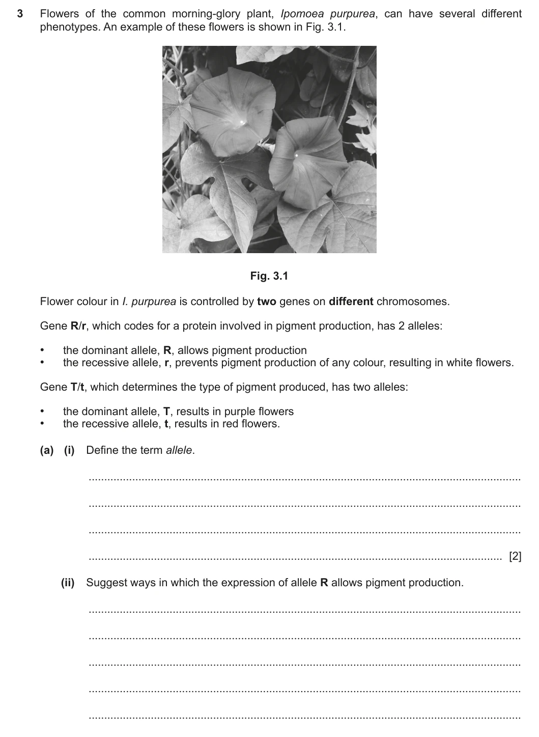 9700/42/F/M/20 question 3