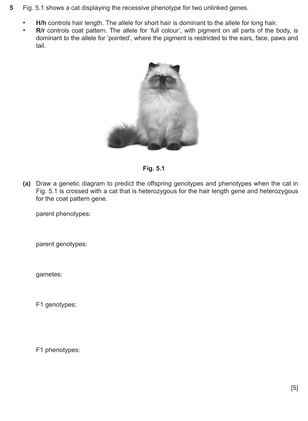 9700/41/O/N/20 question 5