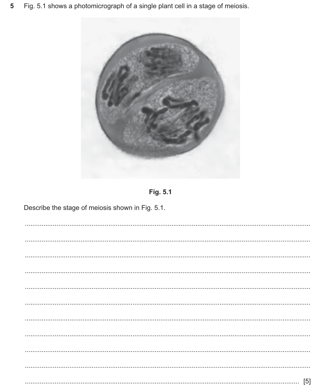 9700/42/F/M/25 question 5