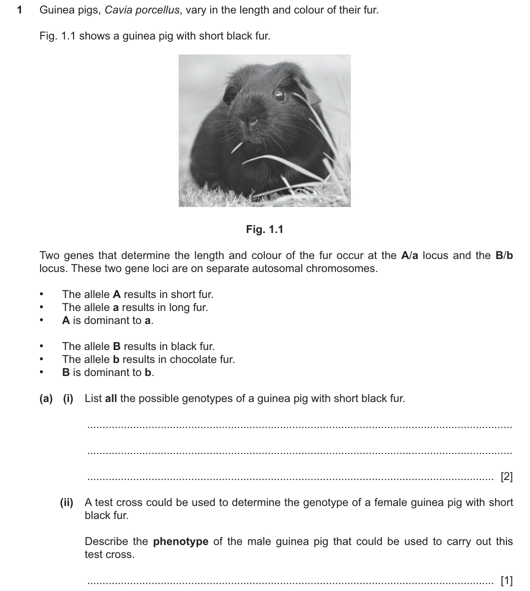 9700/41/O/N/25 question 1