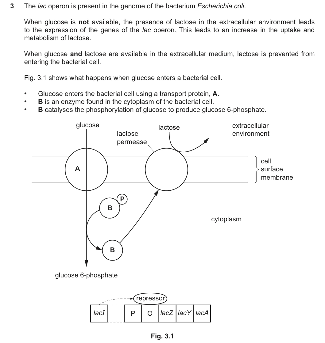 9700/42/O/N/25 question 3